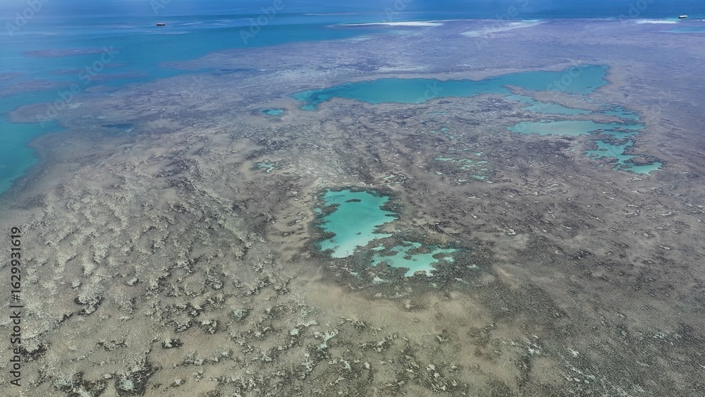 Obraz premium Coral Reef Park In Porto Seguro Bahia Brazil. Stunning Tropical Coastline Beach Scene Viewed From Above. Paradise Skyline Grateful Vibrant. Paradise Sea. Porto Seguro Bahia.