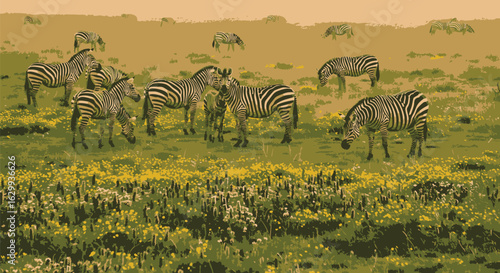 A group of zebras graze in a grassy field under a hazy sky, some standing and others bending to eat.
