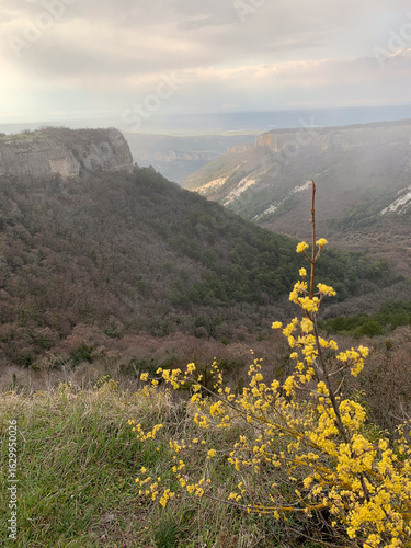 road to the mountains