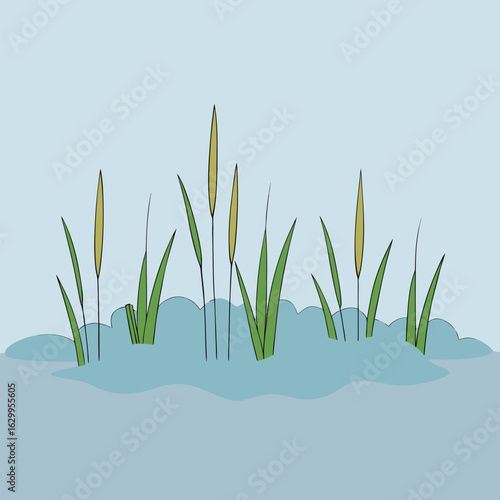 Vector art of cattails growing in the water on a clear day