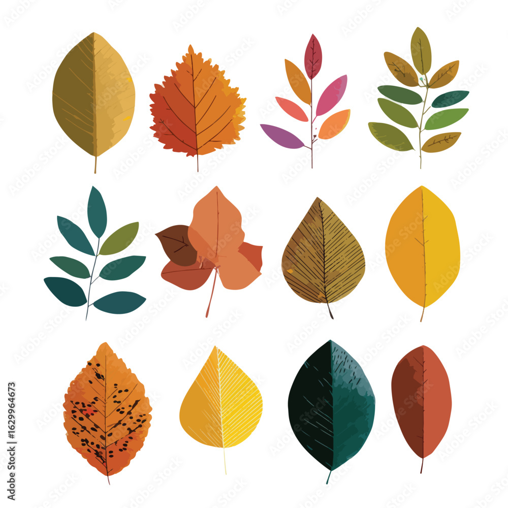 Fototapeta premium fall leave isolated in White Background, fall leave vector, Flat lay vector illustration