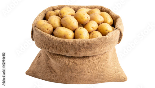 sack of potatoes in a woven bag isolated on transparent background