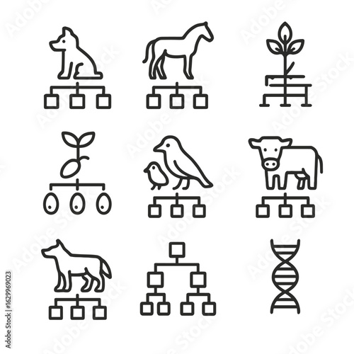 Animal Plant Lineage Icons. Outline icon set of lineage in animals and plants: pedigree dog, horse lineage, plant grafting, seed