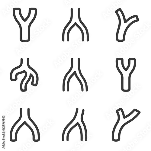 Artery Anatomy Icons. Outline icon set of artery anatomy: aorta, carotid artery, femoral artery, coronary artery, radial artery,