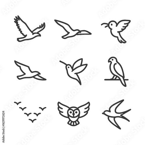 Bird Flight Icon Set. Outline icon set of bird flight silhouettes: soaring eagle, gliding seagull, flapping sparrow, diving falcon