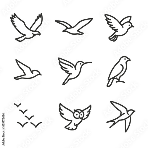 Bird Flight Icon Set. Outline icon set of bird flight silhouettes: soaring eagle, gliding seagull, flapping sparrow, diving falcon