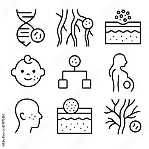 Birthmark Causes Icons. Outline icon set of birthmark causes: genetic factors, blood vessel malformation, skin cell cluster,