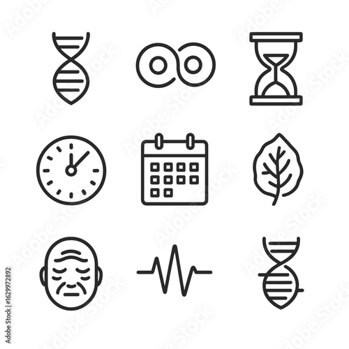 Biological Aging Icons. Outline icon set of biological aging: DNA strand, cell division, hourglass, clock, calendar, leaf aging,