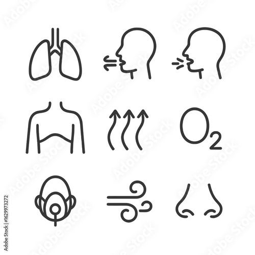 Breathing Icon Set. Outline icon set of breathing: lungs, inhaling, exhaling, diaphragm, breath flow, oxygen molecule, respiratory