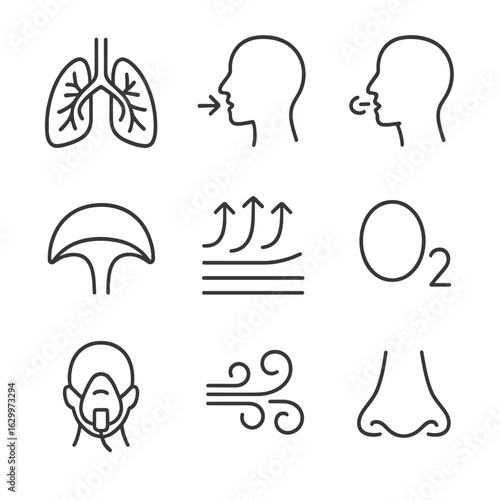 Breathing Icon Set. Outline icon set of breathing: lungs, inhaling, exhaling, diaphragm, breath flow, oxygen molecule, respiratory