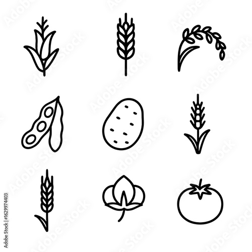 Affected Crop Icons. Outline icon set of affected crop species: maize stalk, wheat sheaf, rice panicle, soybean pod, potato tuber,