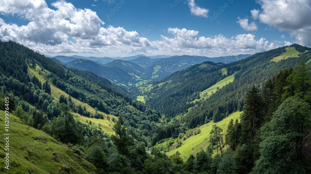 Fototapeta premium Lush green valley stretching into distance beneath blue sky dotted with puffy white clouds