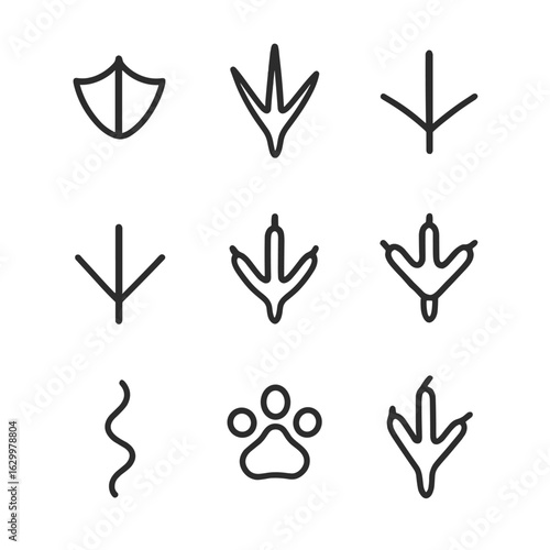 Bird and Reptile Tracks. Outline icon set of bird and reptile footprints: duck footprint, chicken claw print, heron track,