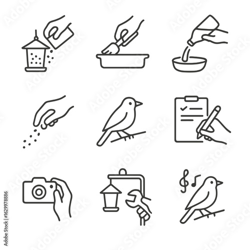 Birdwatching Icon Set. Outline icon set of feeding and observation actions: refill feeder, clean tray, fill water dish, scatter
