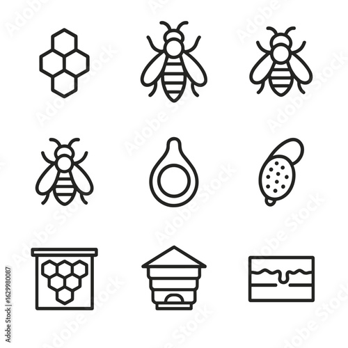 Bee Colony Icons. Outline icon set of bee hive colony: honeycomb cell, queen bee, worker bee, drone bee, nectar storage, pollen