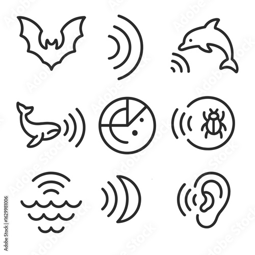 Echolocation Icons Grid. Outline icon set of echolocation in wildlife: bat flying silhouette, bat sonar pulses, dolphin echo click