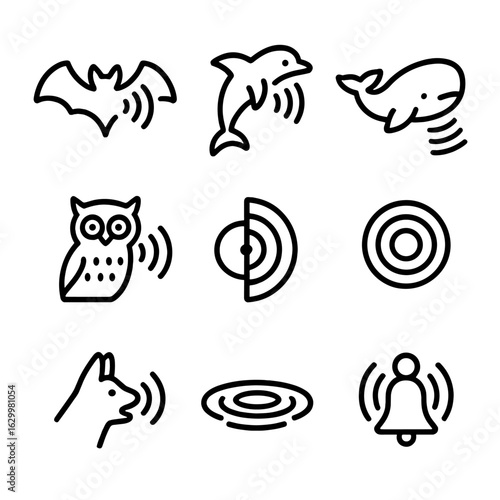 Echolocation Icon Set. Outline icon set of echo location in animals: bat, dolphin, whale, owl, sonar pulse, echolocation wave,