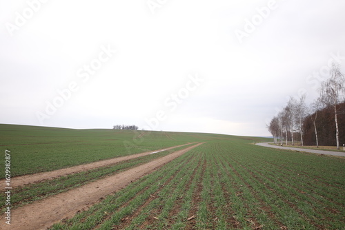 Feld mit Getreide SAAT und Fahrspur vom Traktor -eine Reise durch das schöne Thüringen Natur Landschaft und vieles mehr- Europa Thüringen
Gera, Tag, Frühling  