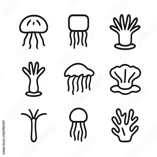 Cnidarian Icons Grid. Outline icon set of cnidarian species: moon jellyfish, box jellyfish, sea anemone, coral polyp, Portuguese