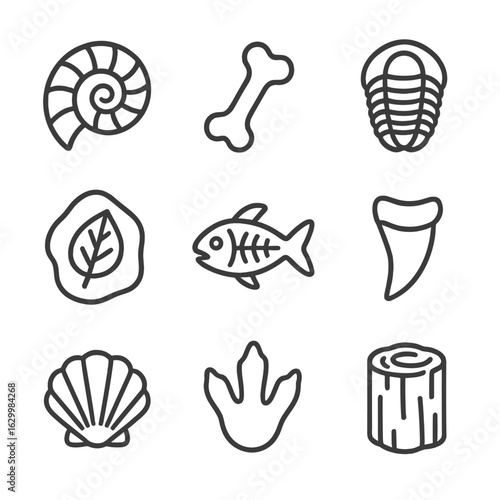 Fossil Icon Collection. Outline icon set of fossil remains: ammonite, dinosaur bone, trilobite, leaf imprint, fossilized fish,