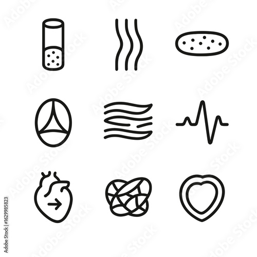 Heart Anatomy Icons. Outline icon set of heart anatomy details: artery, vein, capillary, valve, muscle fibers, electrical signal,