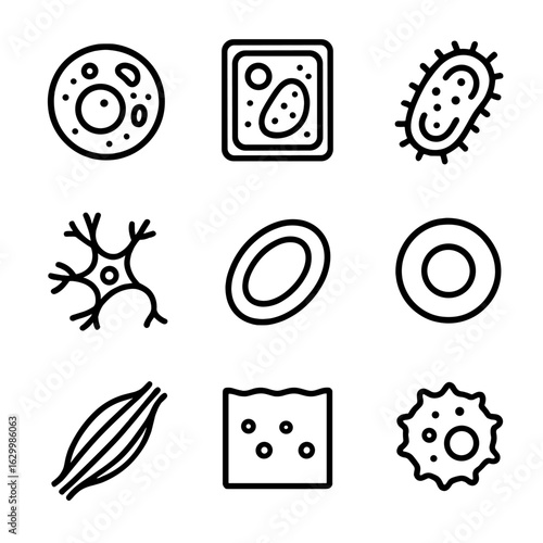 Cell Icons Grid. Outline icon set of cell types: animal cell, plant cell, bacterial cell, nerve cell, blood cell, stem cell,