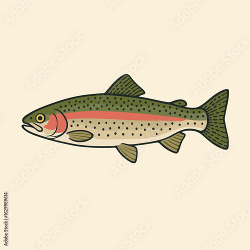 Rainbow trout realistic illustration. Vintage hand-drawn fish vector for logo or print.
