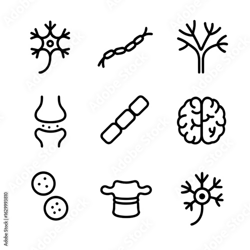 Neuroanatomy Icon Set. Outline icon set of inner space anatomy details: neuron, axon, dendrite, synaptic cleft, myelin sheath,