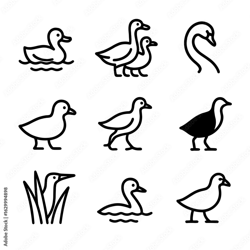 Obraz premium Freshwater Bird Icons. Outline icon set of freshwater and marsh birds: duck on water, goose pair, swan neck curve, coot profile,