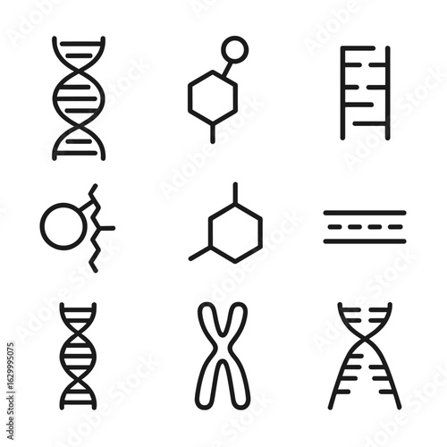 DNA Structure Icons. Outline icon set of DNA structure: double helix, nucleotide, base pair, phosphate backbone, sugar molecule,