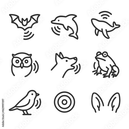 Animal Echo Icons. Outline icon set of echo in animals: bat sonar, dolphin echolocation, whale song, owl hoot, dog bark echo, frog