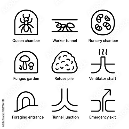 Ant Colony Icons. Outline icon set of ant colony structure: queen chamber, worker tunnel, nursery chamber, fungus garden, refuse