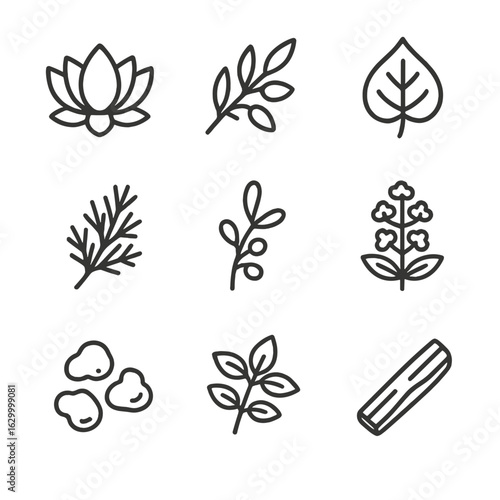 Sacred Flora Icons. Outline icon set of sacred flora: lotus bloom, olive branch, sacred fig leaf, cedar twig, mistletoe,