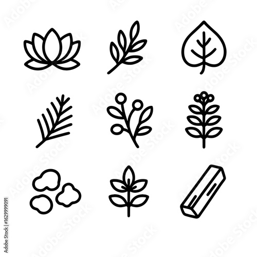 Sacred Flora Icons. Outline icon set of sacred flora: lotus bloom, olive branch, sacred fig leaf, cedar twig, mistletoe,