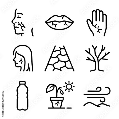 Dryness Effects Icons. Outline icon set of dryness effects: wrinkled skin, cracked lips, dry hands, brittle hair, dusty road, dry