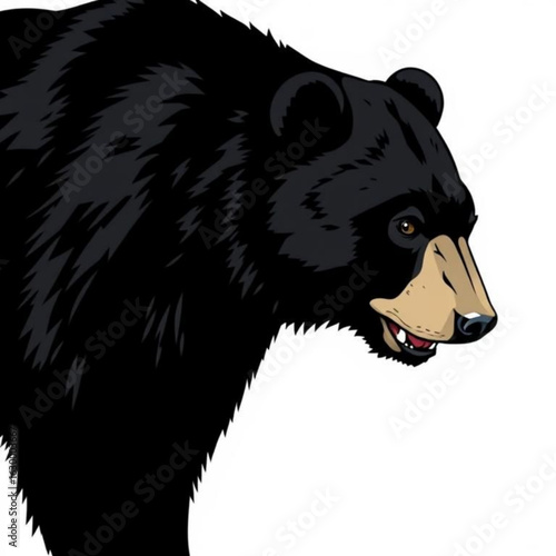 Asiatic Black Bear Image