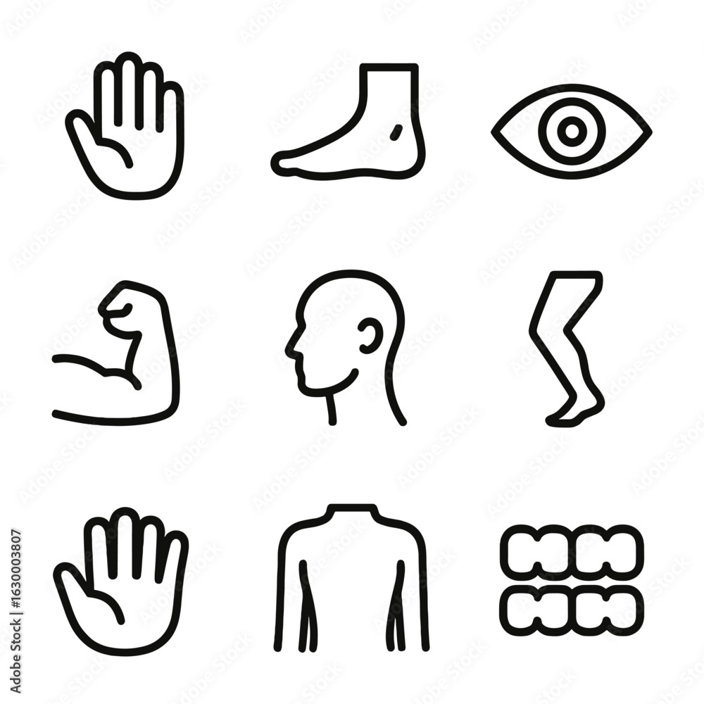 Fototapeta premium Giant Anatomy Icons. Outline icon set of giant anatomy: giant hand, giant foot, giant eye, giant head, giant arm, giant leg, giant