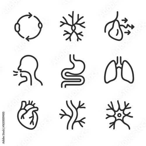 Biological Flow Icon Set. Outline icon set of biological flow systems: blood circulation, lymphatic flow, neural signals,