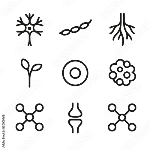 Biological Nodes Icons. Outline icon set of biological nodes: nerve node, lymph node, ganglion node, root node, bud node, cell