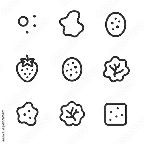 Birthmark Icon Set. Outline icon set of birthmarks: mole, port-wine stain, cafe-au-lait spot, strawberry mark, congenital