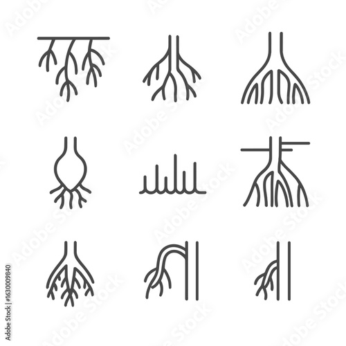 Various Root Icons. Outline icon set of root types: aerial roots, adventitious roots, buttress roots, storage roots,