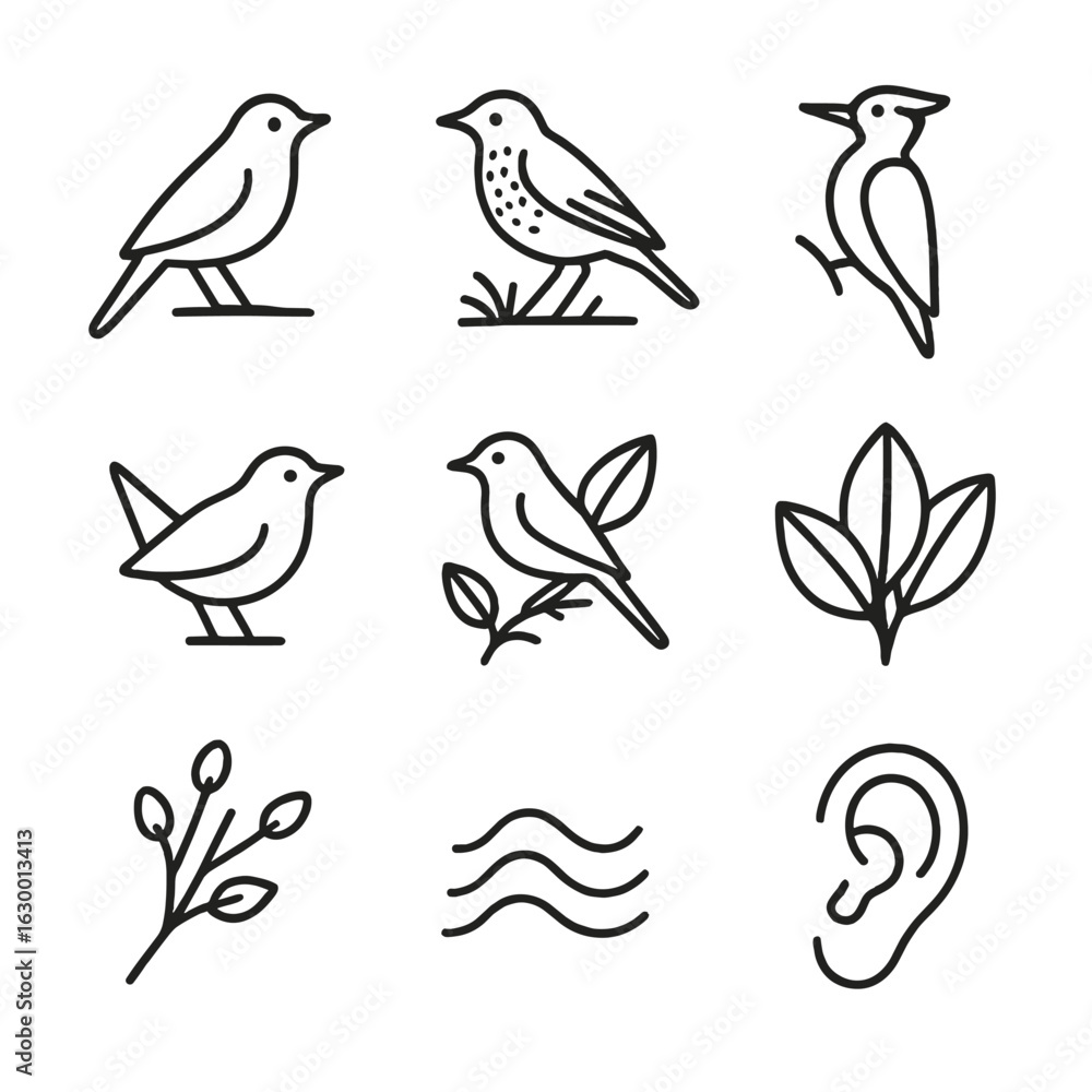 Fototapeta premium Forest Songbird Iconography. Outline icon set of forest songbirds: nightingale outline, thrush perched, woodpecker profile, wren