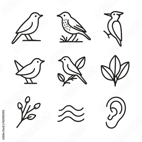 Forest Songbird Iconography. Outline icon set of forest songbirds: nightingale outline, thrush perched, woodpecker profile, wren