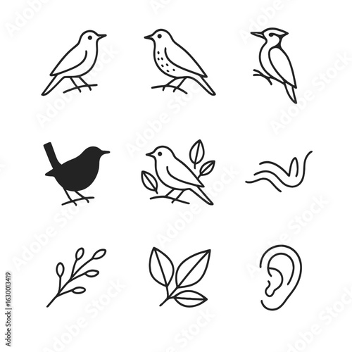 Forest Songbird Iconography. Outline icon set of forest songbirds: nightingale outline, thrush perched, woodpecker profile, wren