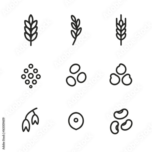 Whole Grains Icons. Outline icon set of whole grains and legumes: wheat sheaf, brown rice, barley stalk, quinoa seed, lentils,