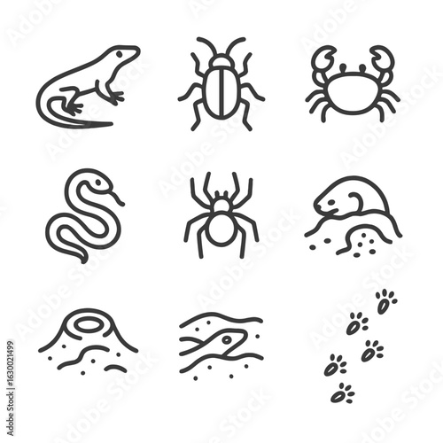 Sand Wildlife Icons. Outline icon set of sand in wildlife: sand lizard, sand beetle, sand crab, sand snake, sand spider, burrowing