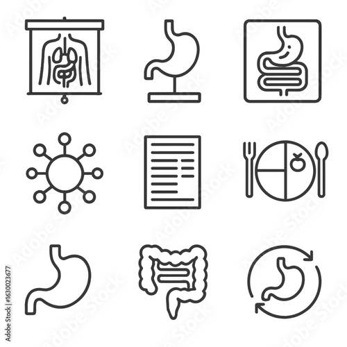 Digestion Icons Collection. Outline icon set of digestion educational tools: anatomy chart, stomach model,