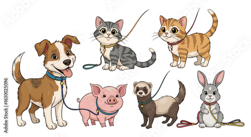 Cartoon illustration of a dog, cats, pig, ferret, and rabbit with leashes on a white background
