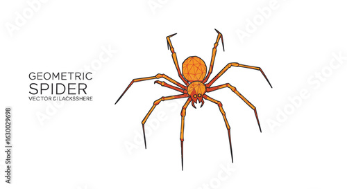 Detailed illustration of a geometric spider, showcasing its body, legs, and design elements.