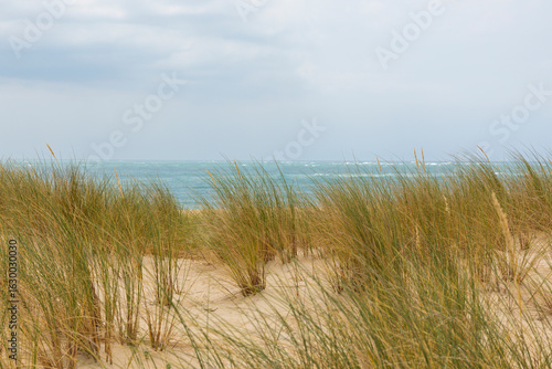 Wallpaper Mural View through dune grass at the Atlantic Ocean from Pointe du Cap Ferret Torontodigital.ca